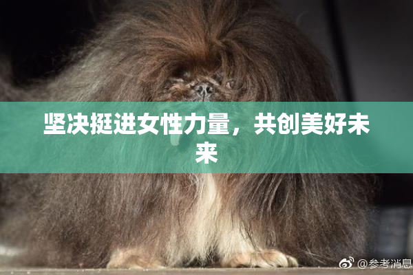 坚决挺进女性力量，共创美好未来