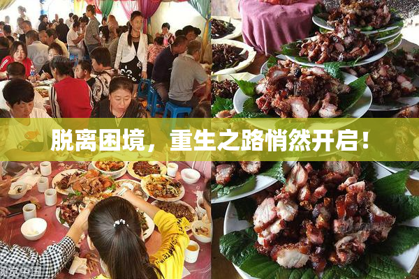 脱离困境，重生之路悄然开启！
