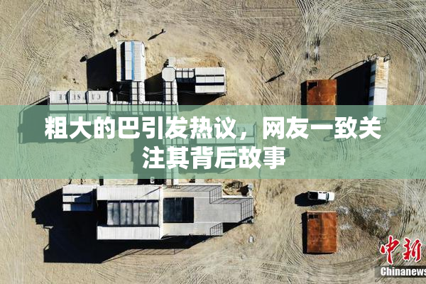 粗大的巴引发热议，网友一致关注其背后故事