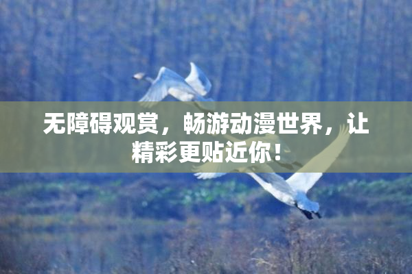 无障碍观赏，畅游动漫世界，让精彩更贴近你！