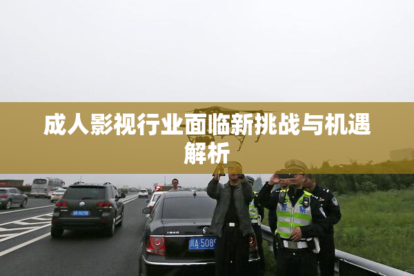 成人影视行业面临新挑战与机遇解析