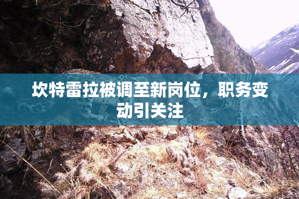 坎特雷拉被调至新岗位，职务变动引关注