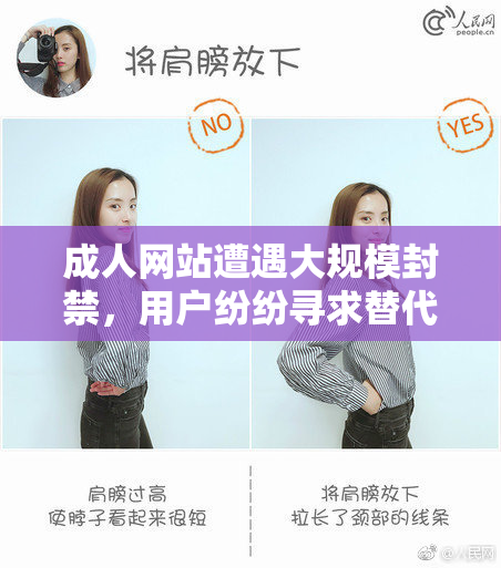 成人网站遭遇大规模封禁，用户纷纷寻求替代方案