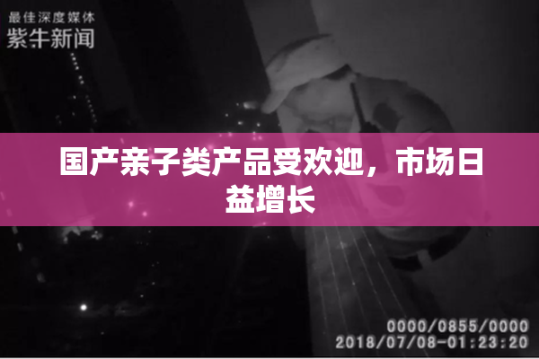 国产亲子类产品受欢迎，市场日益增长
