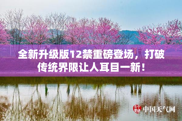 全新升级版12禁重磅登场，打破传统界限让人耳目一新！