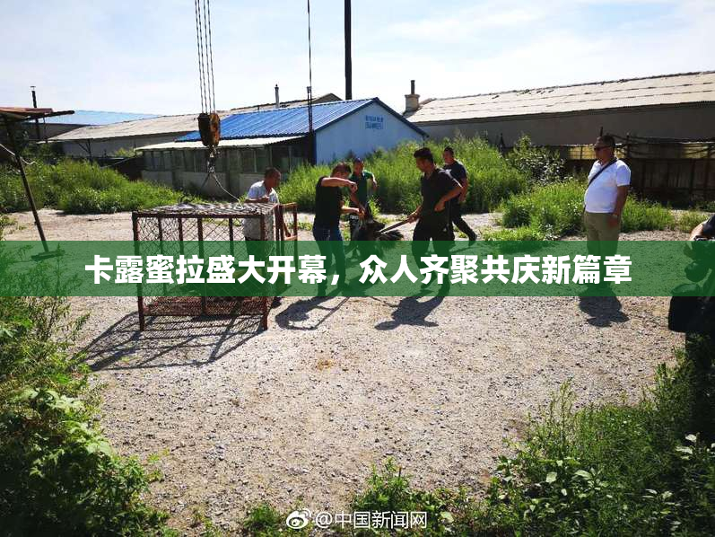 卡露蜜拉盛大开幕，众人齐聚共庆新篇章