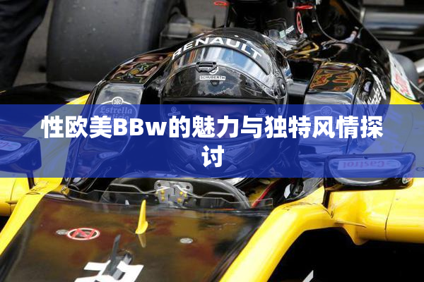 性欧美BBw的魅力与独特风情探讨