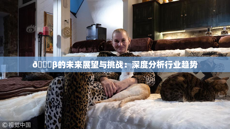 🔞β的未来展望与挑战：深度分析行业趋势