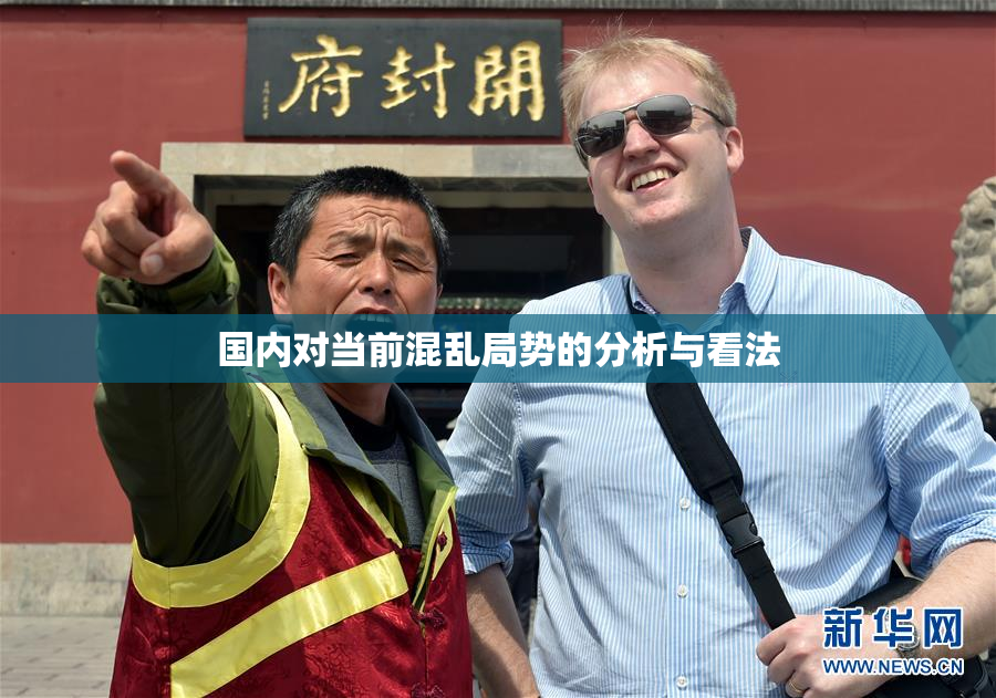 国内对当前混乱局势的分析与看法