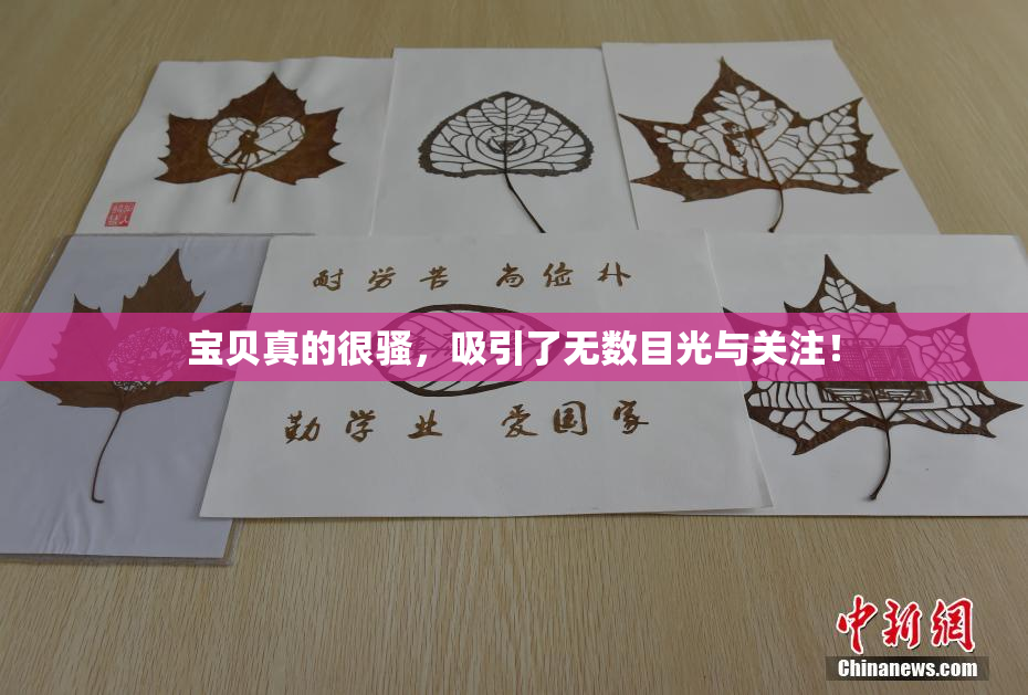 宝贝真的很骚，吸引了无数目光与关注！