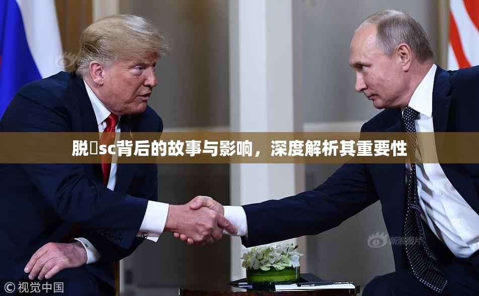 脱糞sc背后的故事与影响，深度解析其重要性