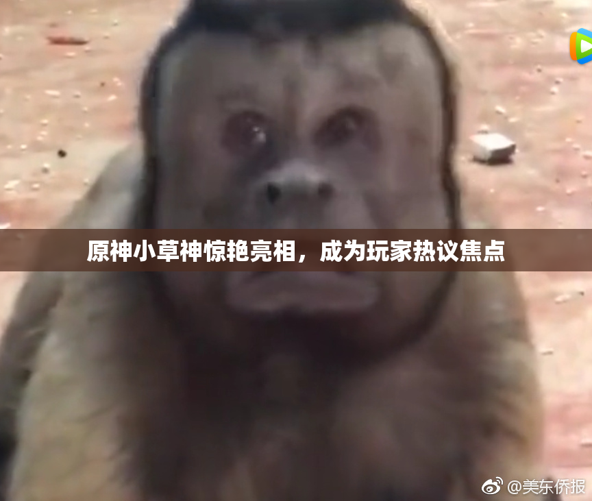 原神小草神惊艳亮相，成为玩家热议焦点