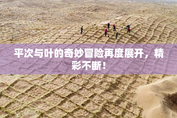平次与叶的奇妙冒险再度展开，精彩不断！