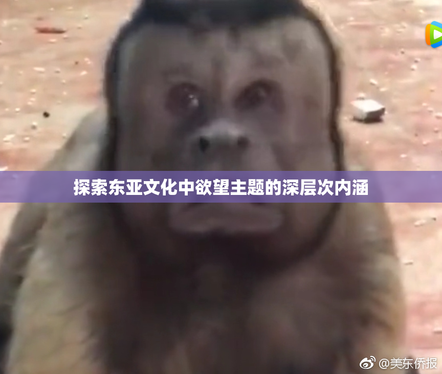 探索东亚文化中欲望主题的深层次内涵