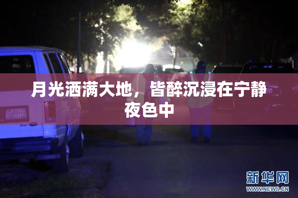 月光洒满大地，皆醉沉浸在宁静夜色中