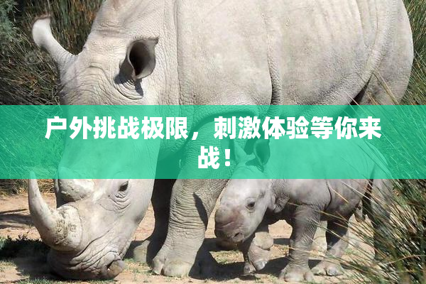 户外挑战极限，刺激体验等你来战！