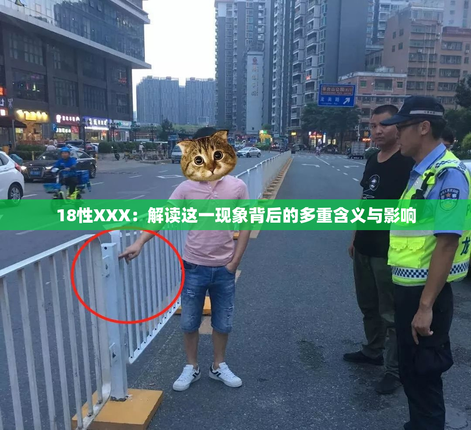 18性XXX：解读这一现象背后的多重含义与影响