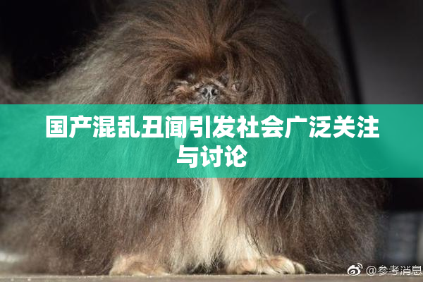 国产混乱丑闻引发社会广泛关注与讨论