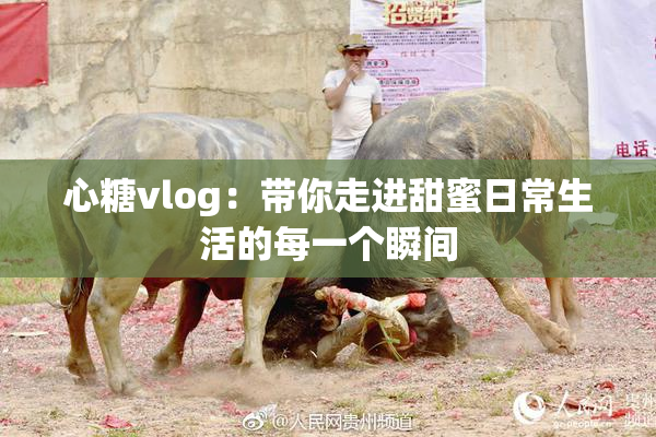 心糖vlog：带你走进甜蜜日常生活的每一个瞬间