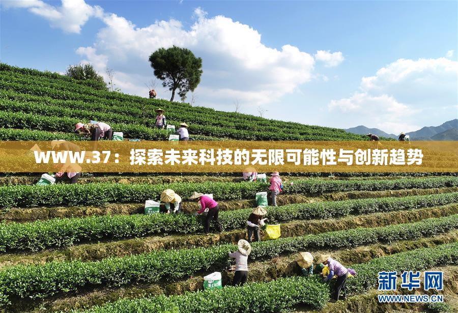 WWW.37：探索未来科技的无限可能性与创新趋势