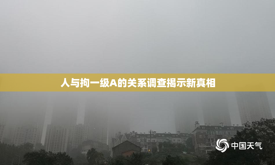 人与拘一级A的关系调查揭示新真相