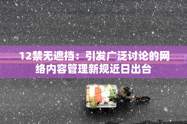 12禁无遮挡：引发广泛讨论的网络内容管理新规近日出台