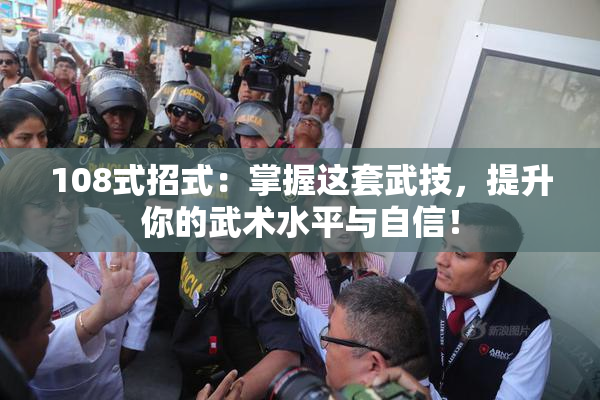 108式招式：掌握这套武技，提升你的武术水平与自信！
