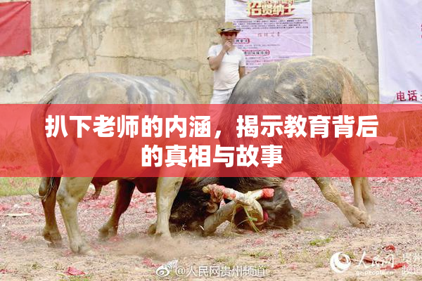 扒下老师的内涵，揭示教育背后的真相与故事