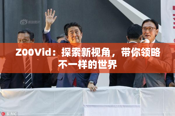 Z00Vid：探索新视角，带你领略不一样的世界