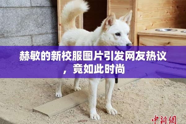 赫敏的新校服图片引发网友热议，竟如此时尚