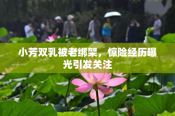 小芳双乳被老绑架，惊险经历曝光引发关注