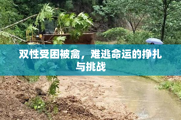 双性受困被禽，难逃命运的挣扎与挑战