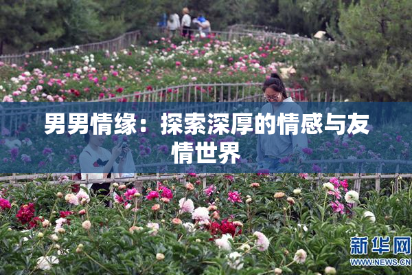 男男情缘：探索深厚的情感与友情世界