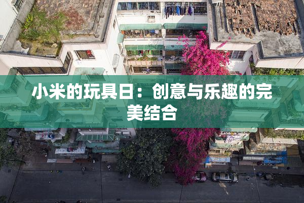 小米的玩具日：创意与乐趣的完美结合