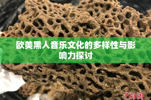 欧美黑人音乐文化的多样性与影响力探讨