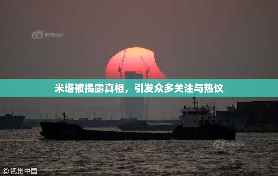 米塔被揭露真相，引发众多关注与热议