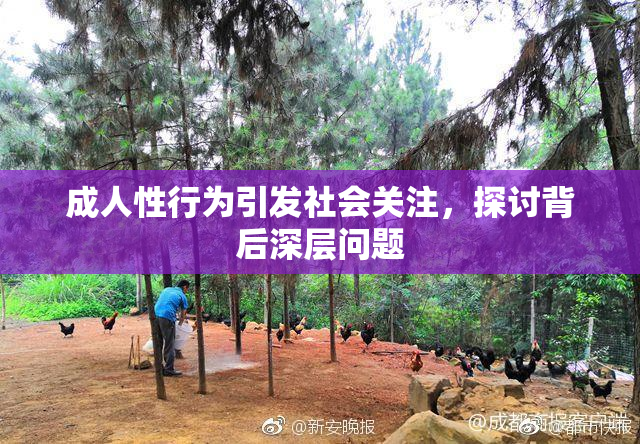 成人性行为引发社会关注，探讨背后深层问题