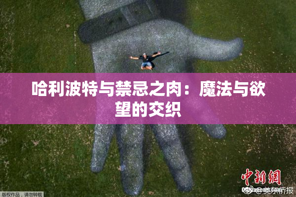 哈利波特与禁忌之肉：魔法与欲望的交织