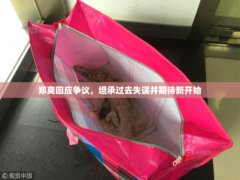 郑爽回应争议，坦承过去失误并期待新开始