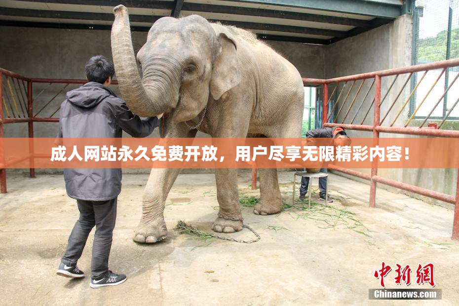 成人网站永久免费开放，用户尽享无限精彩内容！