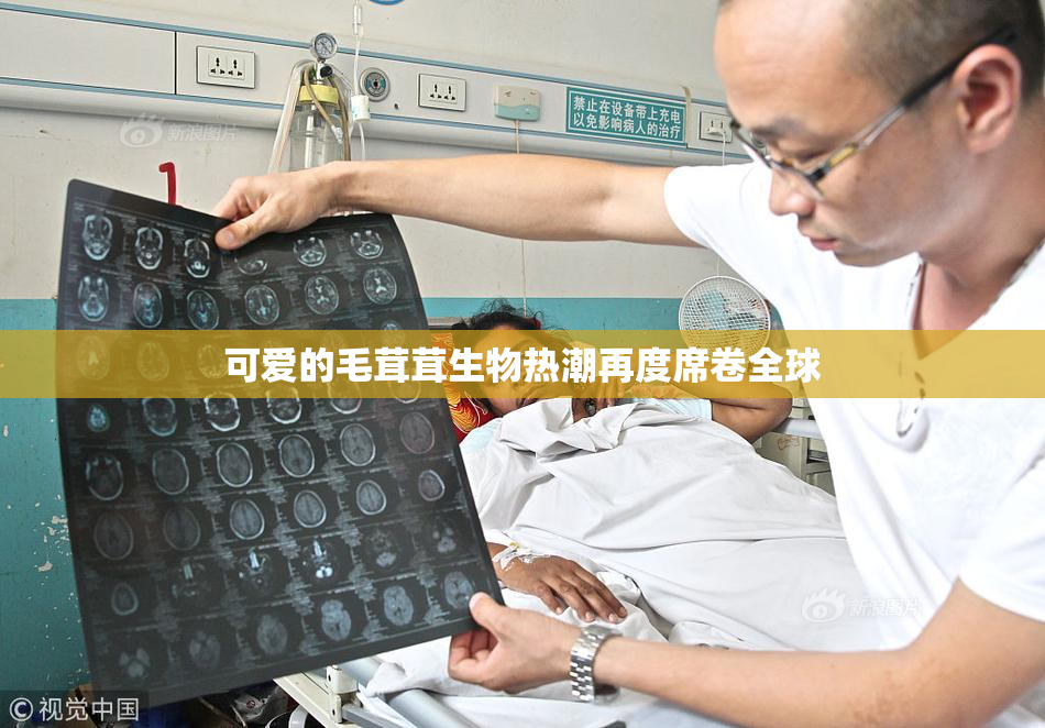 可爱的毛茸茸生物热潮再度席卷全球