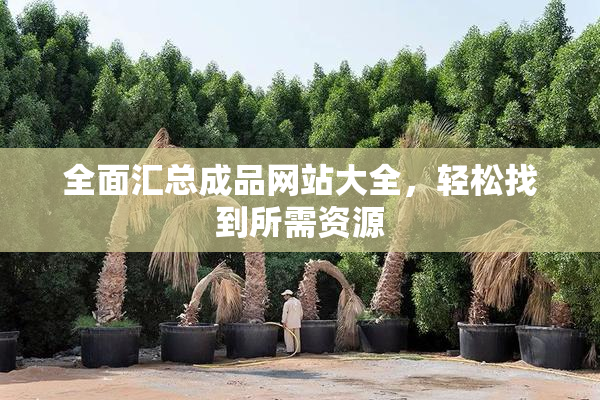 全面汇总成品网站大全，轻松找到所需资源