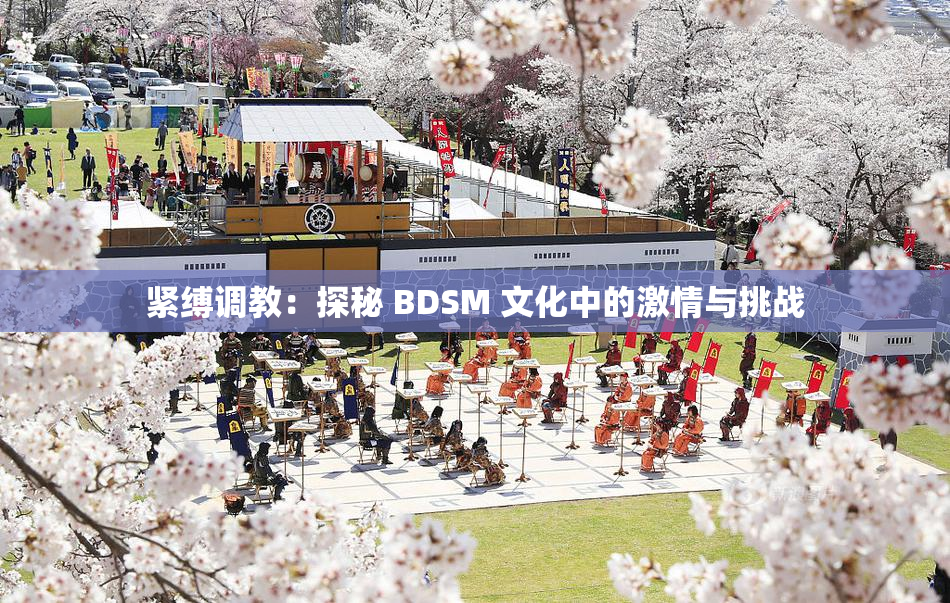 紧缚调教：探秘 BDSM 文化中的激情与挑战