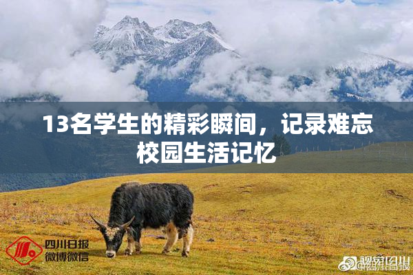 13名学生的精彩瞬间，记录难忘校园生活记忆