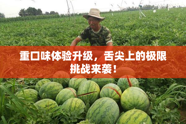重口味体验升级，舌尖上的极限挑战来袭！