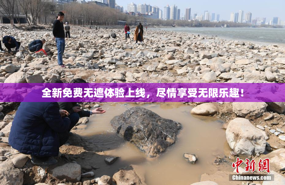 全新免费无遮体验上线，尽情享受无限乐趣！