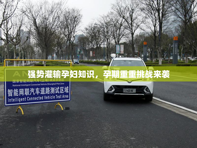 强势灌输孕妇知识，孕期重重挑战来袭