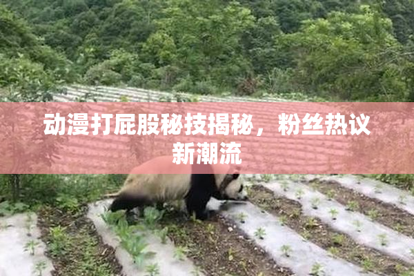 动漫打屁股秘技揭秘，粉丝热议新潮流