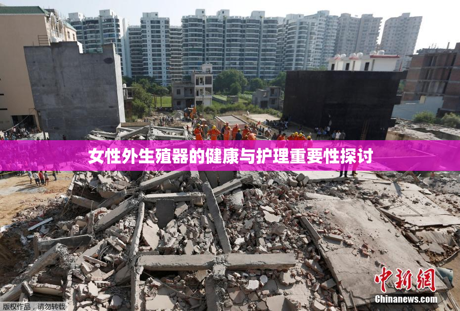 女性外生殖器的健康与护理重要性探讨