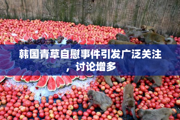 韩国青草自慰事件引发广泛关注，讨论增多
